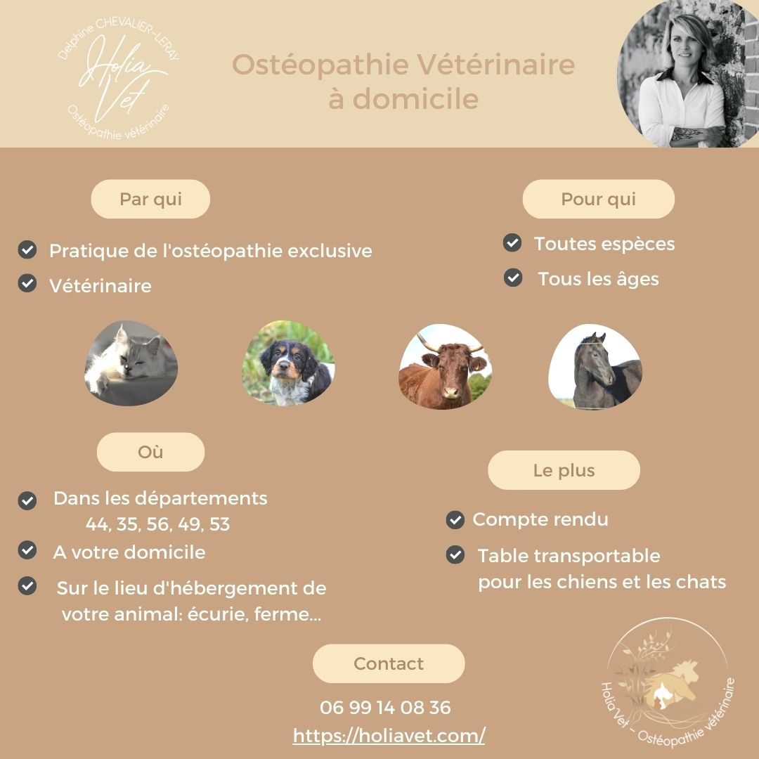 Holiavet ostéopathie Vétérinaire-Pays de la Loire